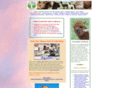 phantomcanyonalpacas.com