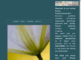 prettypixelsandart.com
