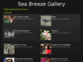 seabreezegallery.com