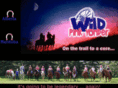 wildpinkyonder.com