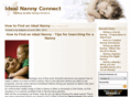 idealnannyconnect.com