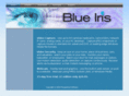 blueirissoftware.com