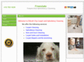 carpetcleaningellicottcity.com