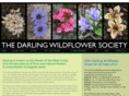 darlingwildflowers.co.za