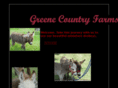 gcdonkeys.com