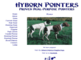 hybornpointers.com