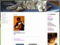 kytguitar.com