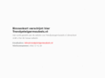 trendysteigermeubels.com