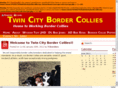 twincitybordercollies.com