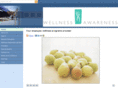 wellnessawareness.net