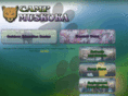 campmuskoka.com