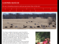 loomisranchlonghorns.com
