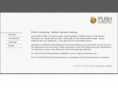 push-consulting.com