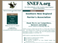 snefa.org