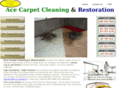 acecarpet.net