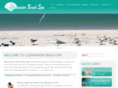clearwaterbeachspa.com