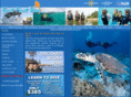 divenelsonbay.com