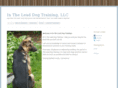 intheleaddogtraining.com