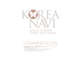 kr-navi.com