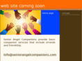 seniorangelcompanions.com