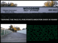 woodbineselfstorage.com