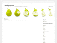 andguy.com
