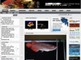 arowana.co.kr
