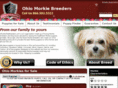 ohiomorkiebreeders.com