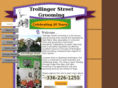 trollingerstreetgrooming.com