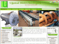 ujjawalbiotechnologies.com