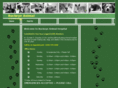 buckeyeanimalhospital.com