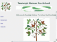 steinerpreschool.com