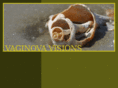 vaginova.com