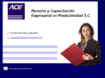 aceconsultores.com