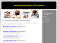 businessbankruptcyinformation.org