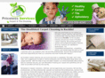carpetcleaningrocklin.com