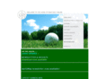 ginsgolf.com