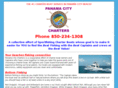 panamacitycharters.com