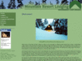 mountainresortlodging.com