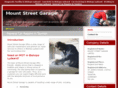 mountstreetgarage.com