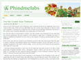 phindmelabs.com