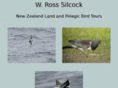 rosssilcock.com