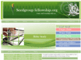 seedgroupfellowship.org
