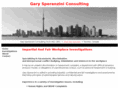 speranziniconsulting.com