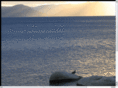 summitrefrigeration.com