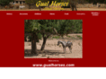 gualhorses.com