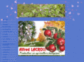 maisonlacroix.com