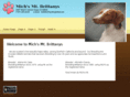 michsmtbrittanys.com
