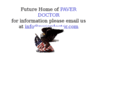 paverdoctor.com