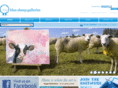 bluesheepgalleries.com